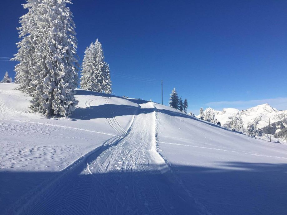 Langlauf Impressionen