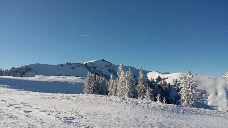 Langlauf Impressionen