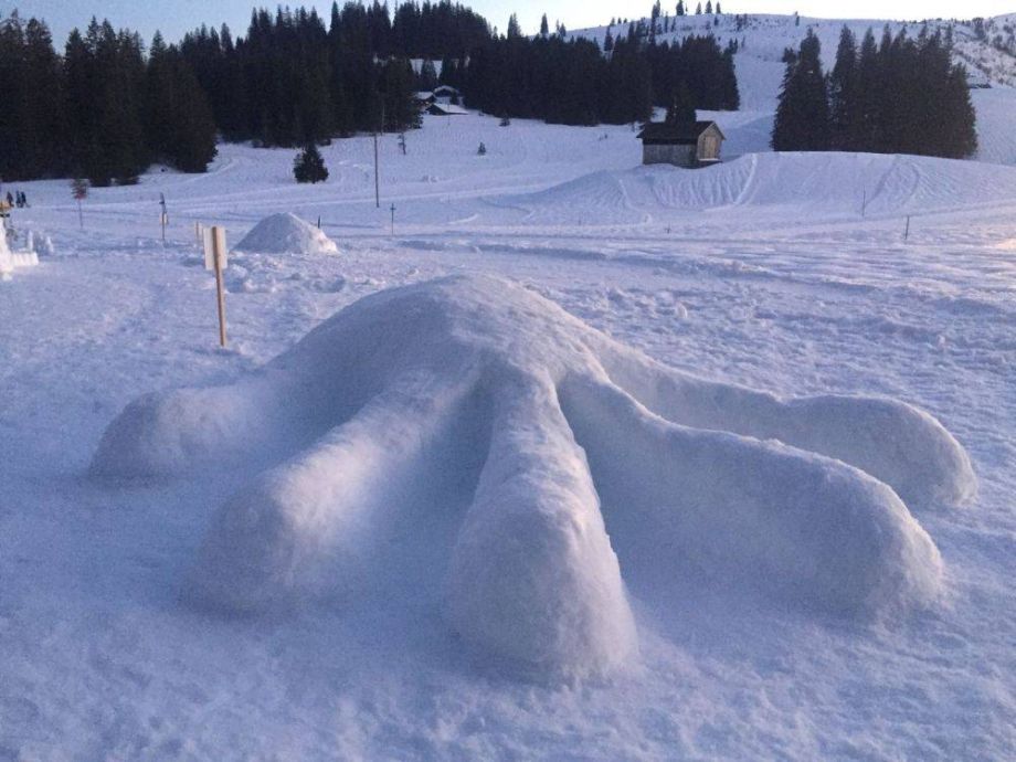 Langlauf Impressionen