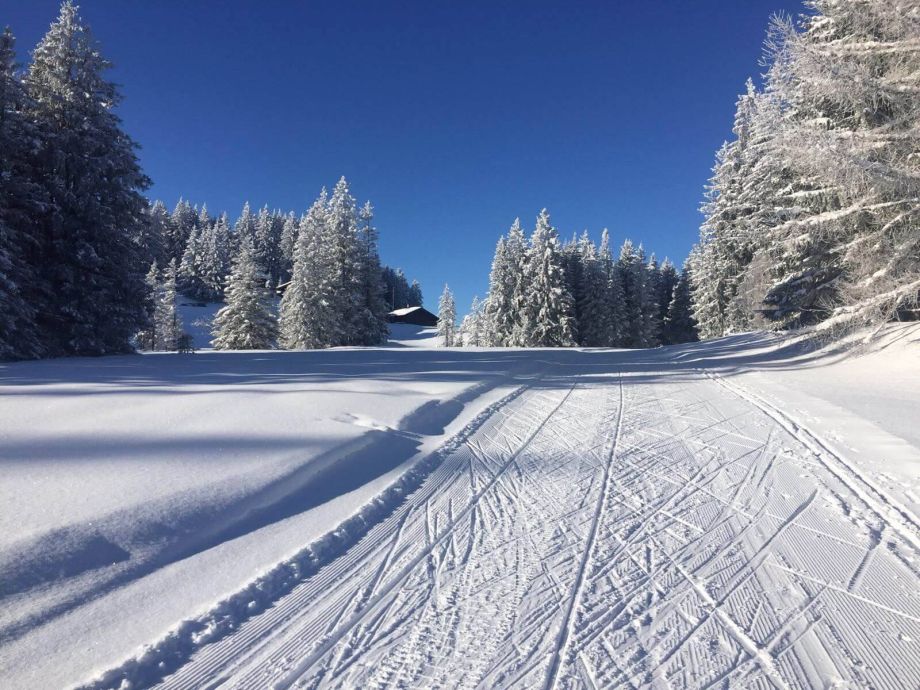 Langlauf Impressionen