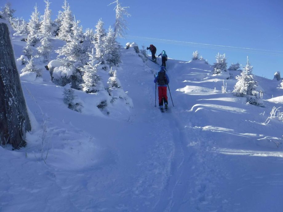 Langlauf Impressionen