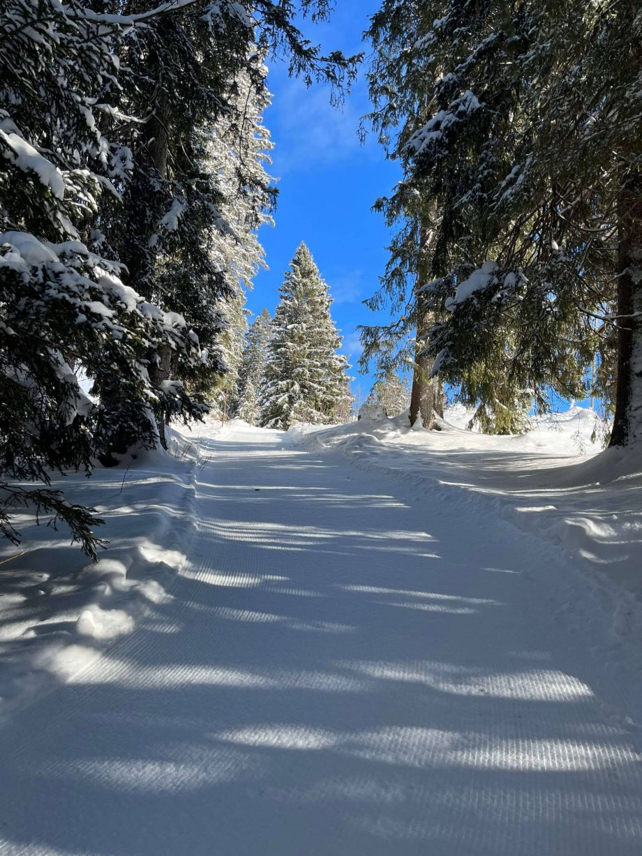 Langlauf Impressionen
