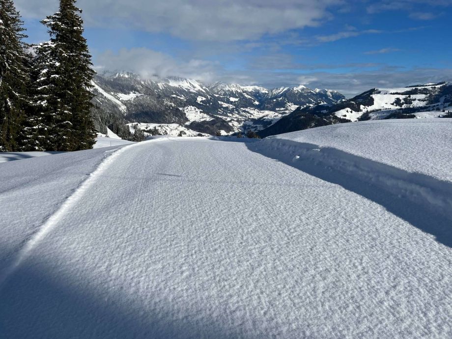 Langlauf Impressionen
