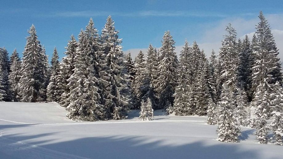 Langlauf Impressionen
