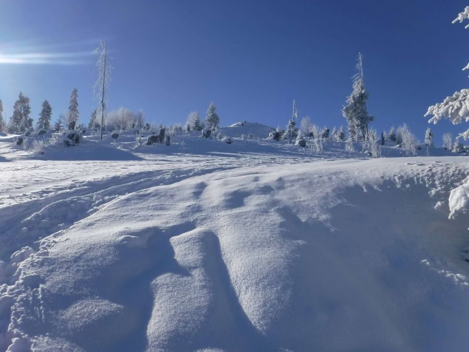 Langlauf Impressionen