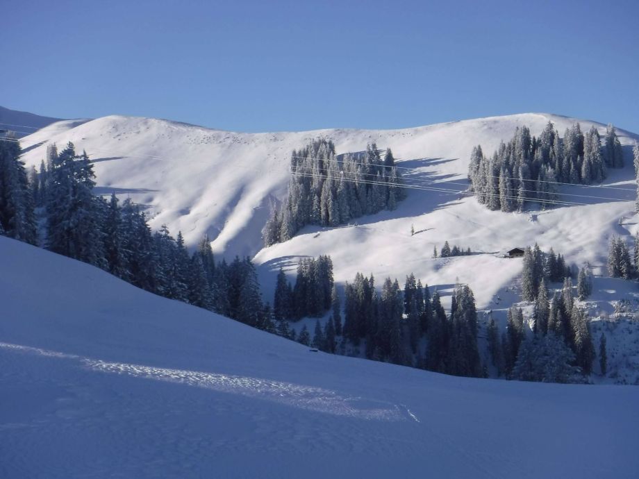 Langlauf Impressionen