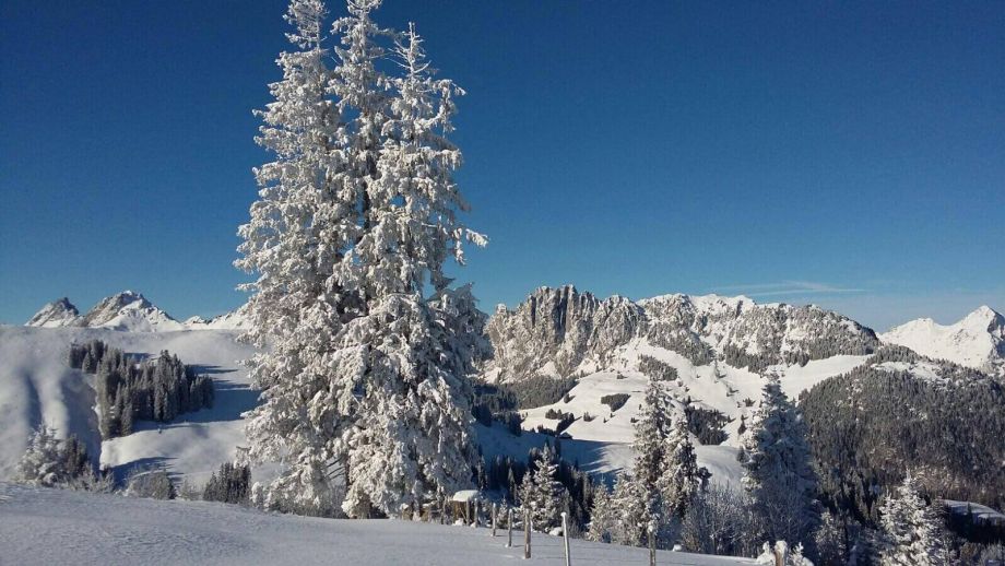 Langlauf Impressionen