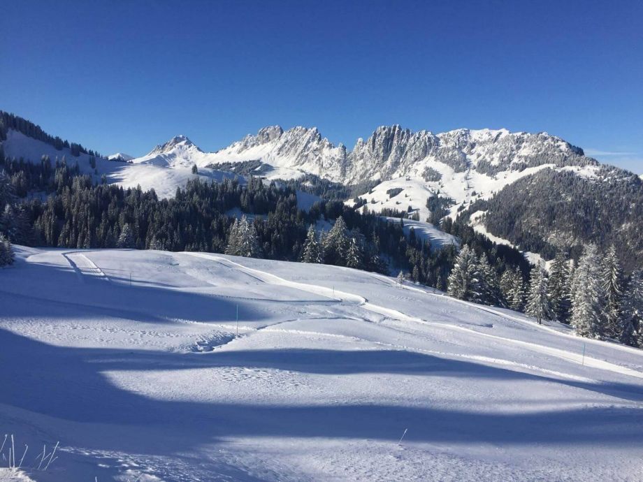 Langlauf Impressionen
