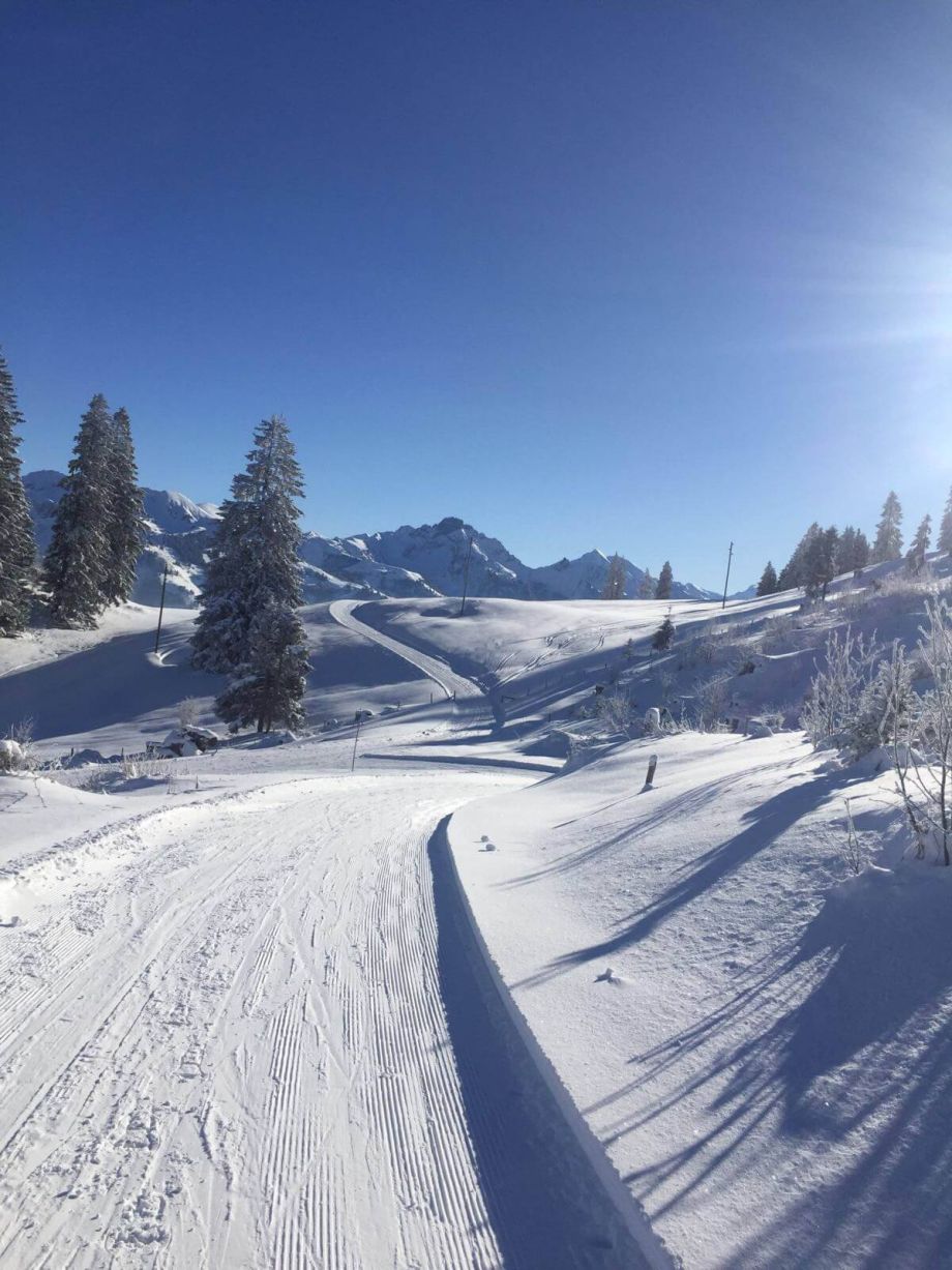 Langlauf Impressionen