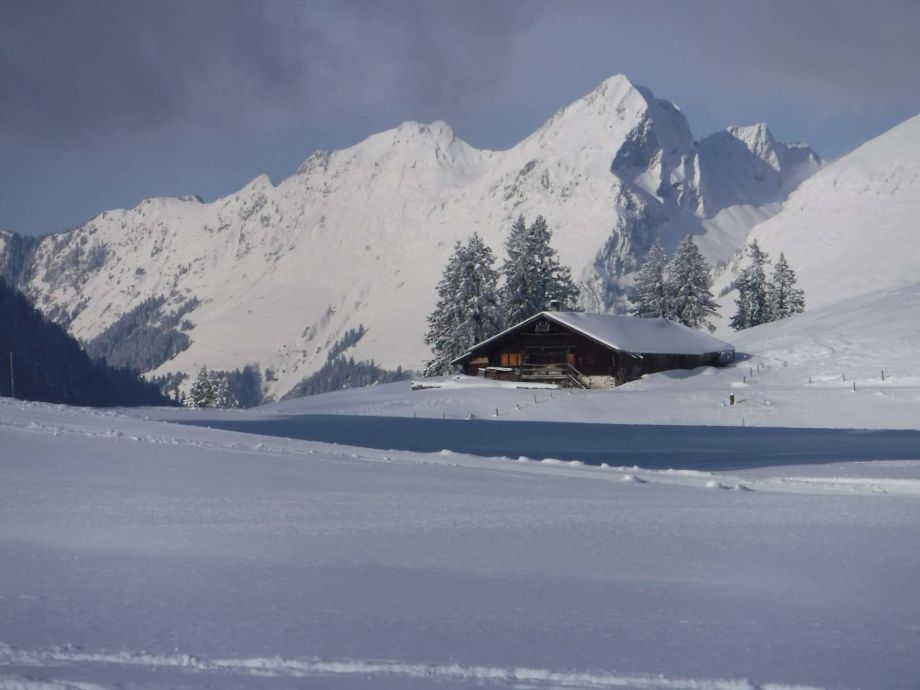 Langlauf Impressionen