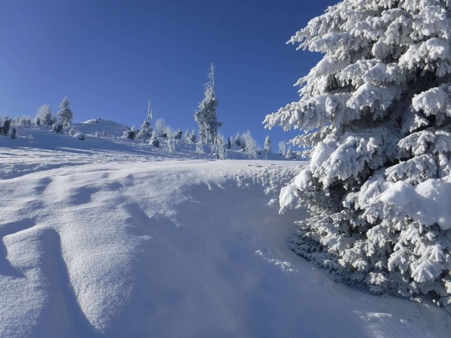 Langlauf Impressionen