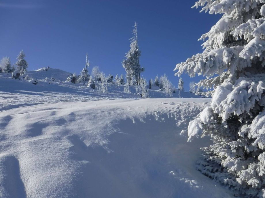 Langlauf Impressionen