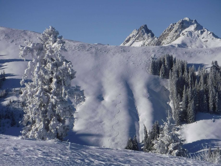 Langlauf Impressionen
