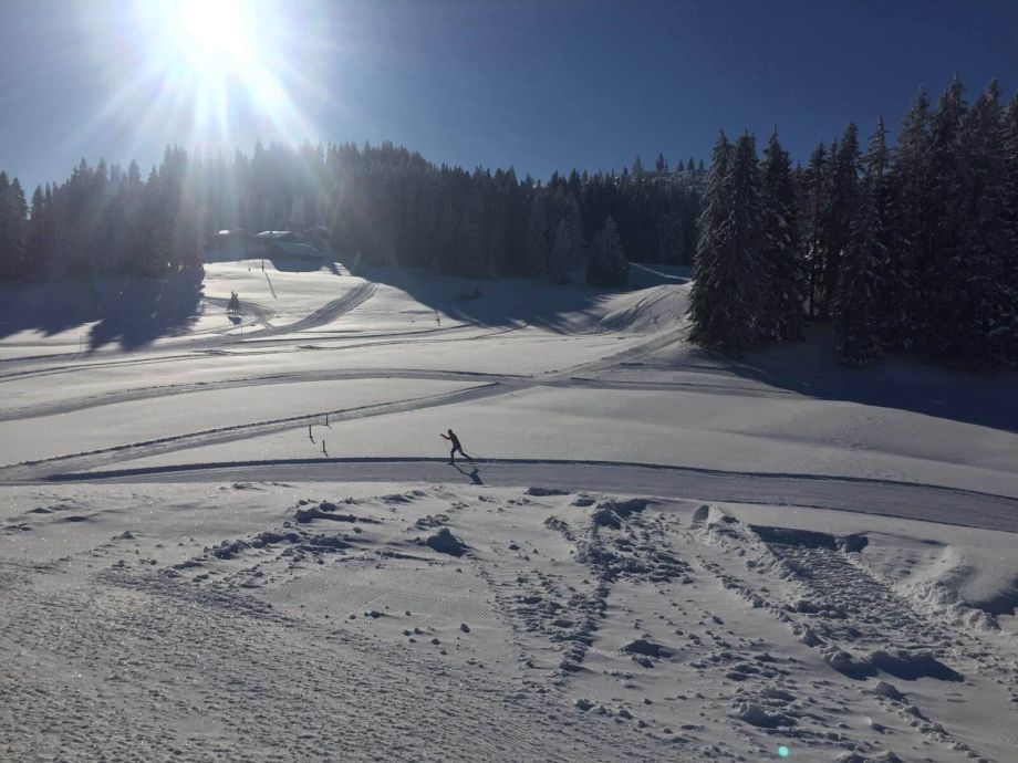 Langlauf Impressionen