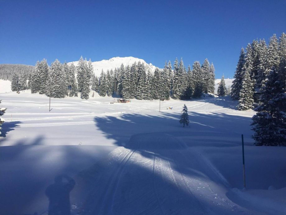 Langlauf Impressionen