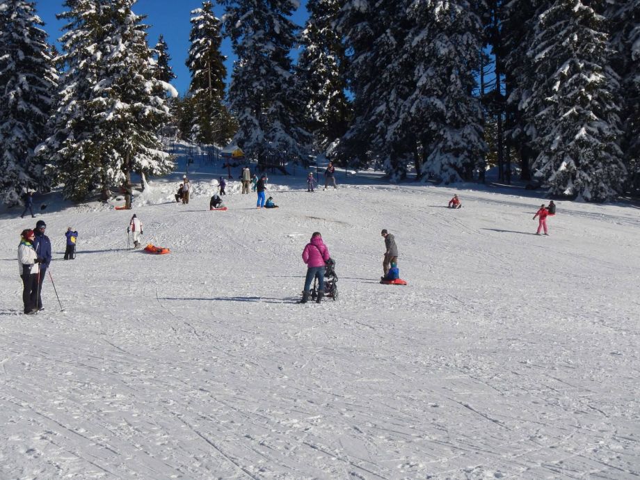 Langlauf Impressionen