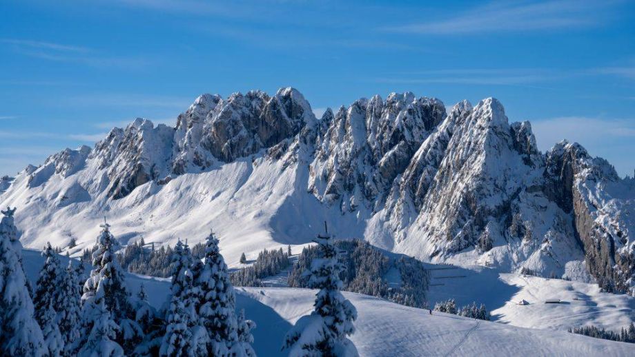 Langlauf Impressionen