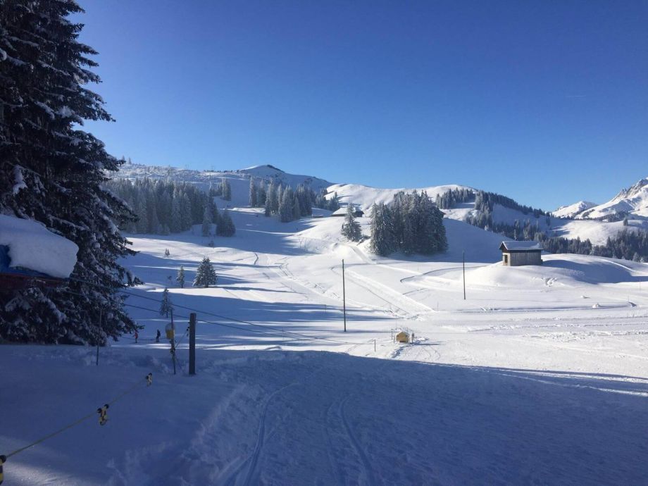 Langlauf Impressionen