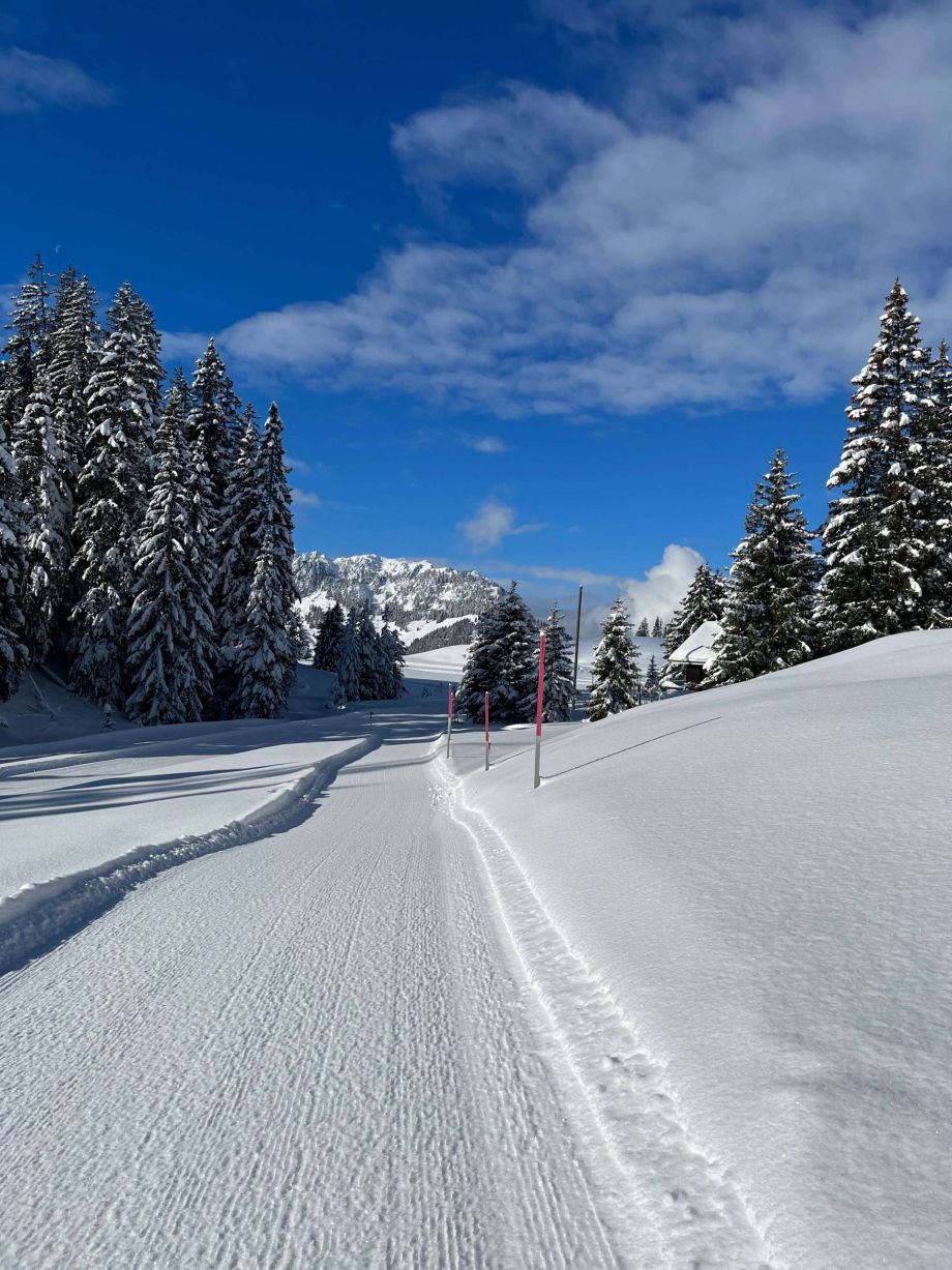 Langlauf Impressionen