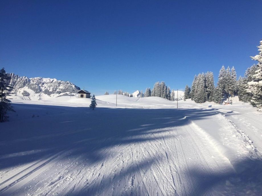 Langlauf Impressionen