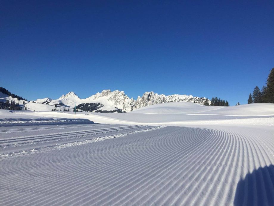 Langlauf Impressionen