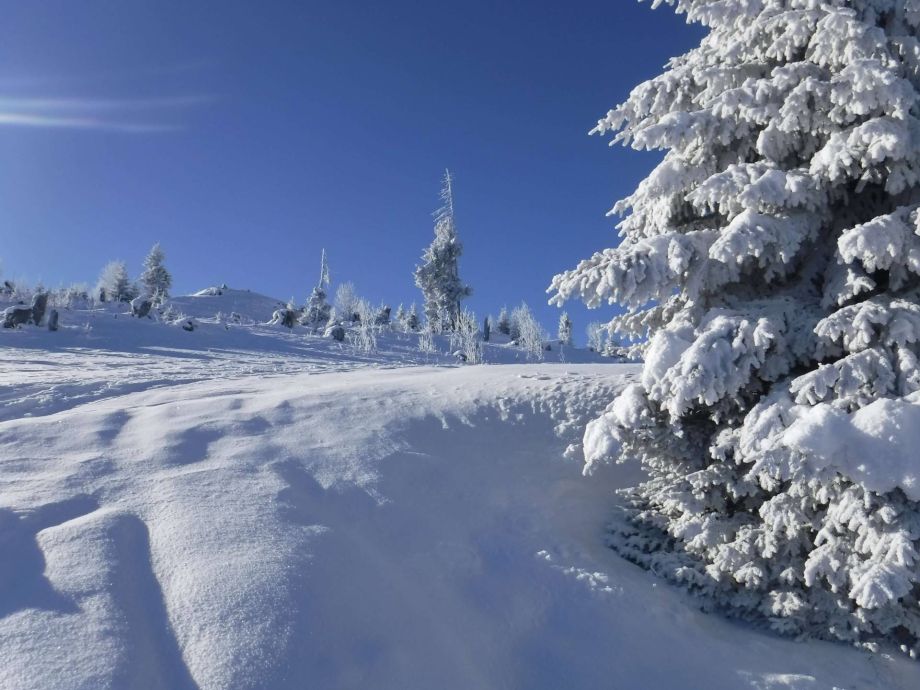 Langlauf Impressionen