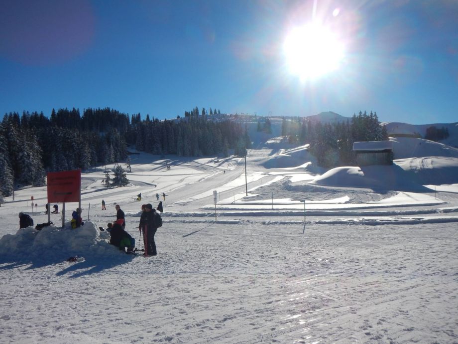 Langlauf Impressionen