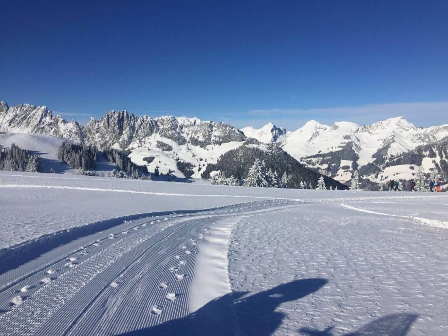 Langlauf Impressionen