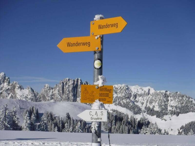 Langlauf Impressionen