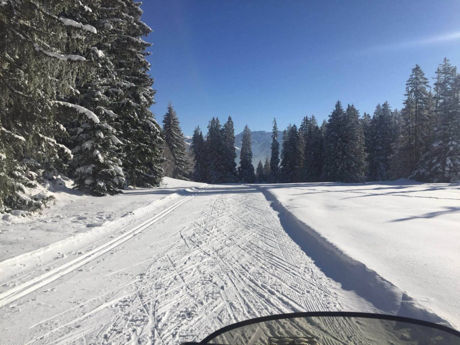 Langlauf Impressionen