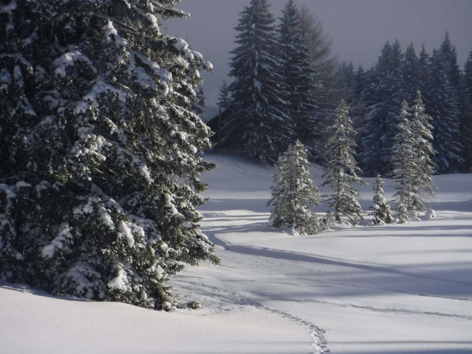 Langlauf Impressionen