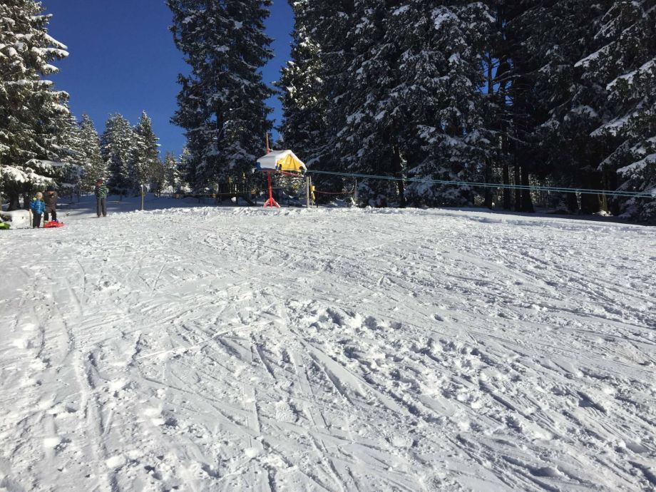 Langlauf Impressionen