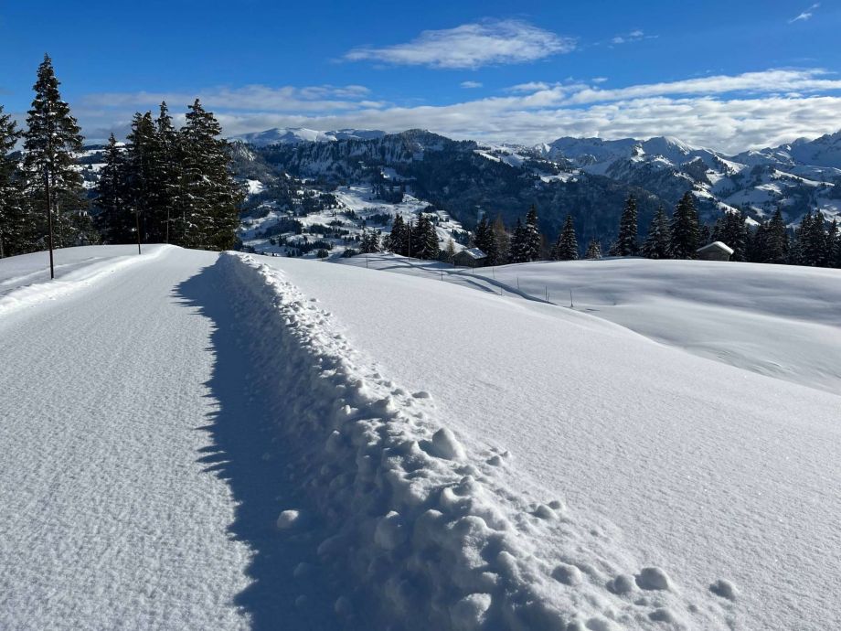 Langlauf Impressionen