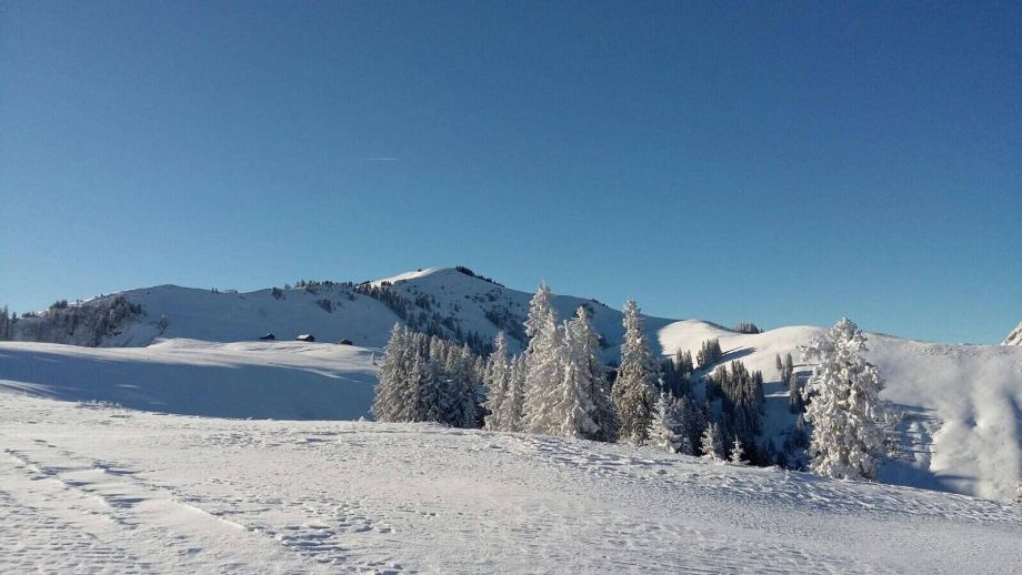 Langlauf Impressionen