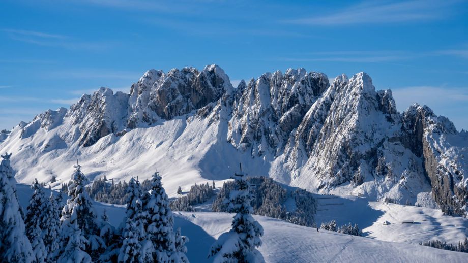 Langlauf Impressionen