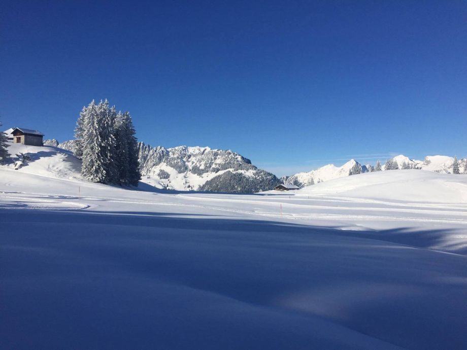 Langlauf Impressionen